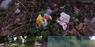 Deplorable estado de la Escuela “Terrones Riera” del Barrio 9 de Julio