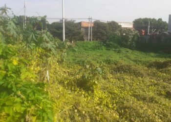 Vecinos denuncian un gran baldío en el macro centro de Orán