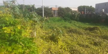 Vecinos denuncian un gran baldío en el macro centro de Orán