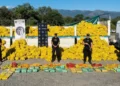La PSA secuestró más de 150 kilos de droga escondida en frutas