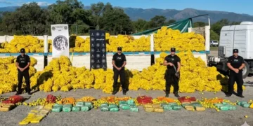 La PSA secuestró más de 150 kilos de droga escondida en frutas