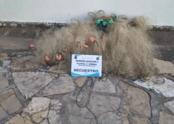 Secuestraron en el Dique Cabra Corral 550 metros de redes de pesca