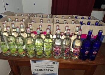 Clausuraron una fiesta clandestina en Isla de Cañas