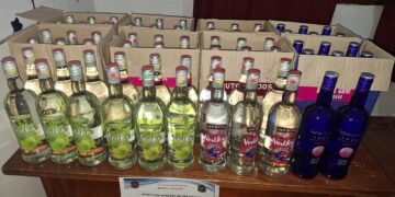 Clausuraron una fiesta clandestina en Isla de Cañas