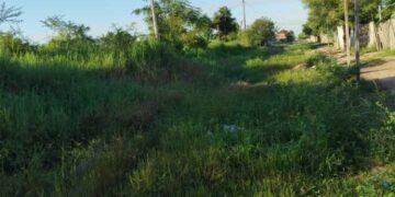 Foto noticia de los vecinos