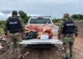 La policía secuestró 750 kilos de carne en Apolinario Saravia