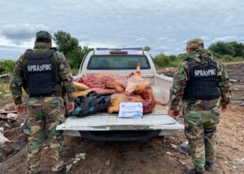 La policía secuestró 750 kilos de carne en Apolinario Saravia