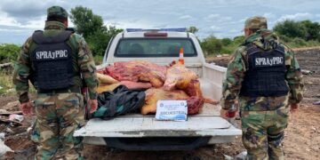 La policía secuestró 750 kilos de carne en Apolinario Saravia