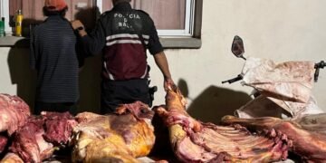 Demorado por abigeato y faena clandestina en Morillo