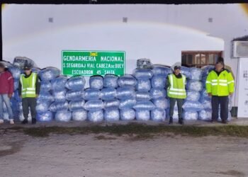 Gendarmes secuestraron una tonelada y media de hojas de coca