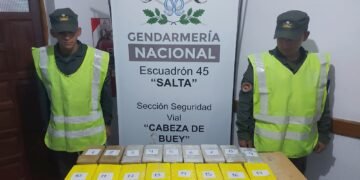 Hallaron más de 18 kilos de cocaína ocultos en el baño de un ómnibus y en los bolsos de mano de dos pasajeras