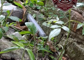 Bomberos extrajeron una culebra de una vivienda