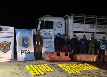 Procedimiento interfuerzas secuestró más de 70 kilos de cocaína