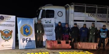 Procedimiento interfuerzas secuestró más de 70 kilos de cocaína