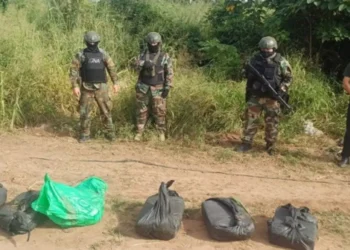 Arrendaban fincas en Colonia Santa Rosa para acopiar y enterrar cocaína