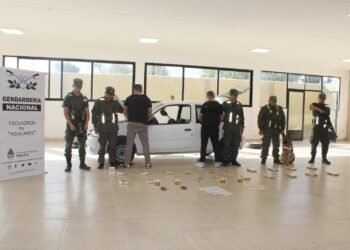 Dos hermanos ocultaron 21 kilos de cocaína en diferentes sectores de un vehículo