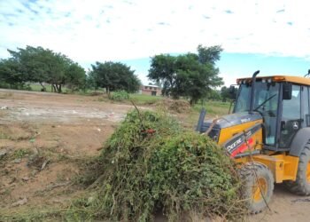 Trabajos de limpieza en el Barrio Balut