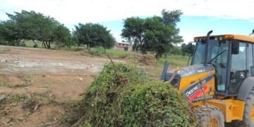 Trabajos de limpieza en el Barrio Balut