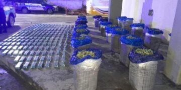 La Policía Federal secuestró mas de 500 kilos de hojas de coca y 2 mil atados de cigarrillos