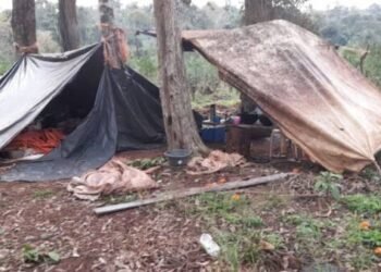 Rescatan de trabajo esclavo a 30 salteños en un campo usurpado en Anta