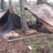 Rescatan de trabajo esclavo a 30 salteños en un campo usurpado en Anta