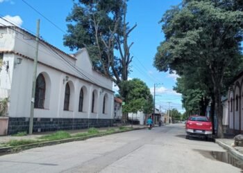Quién autorizó esta poda?