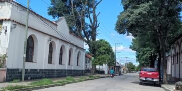 Quién autorizó esta poda?