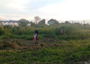 Vecinos del Lote Social piden la limpieza del sector