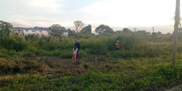 Vecinos del Lote Social piden la limpieza del sector