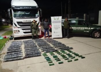 Gendarmería detuvo un camión que transportaba 155 kilos de hojas de coca