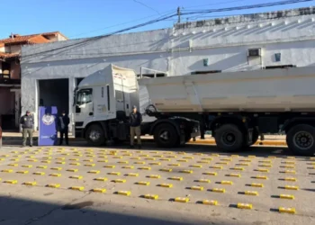 Desarticulan estructura narco que llevaba droga a Córdoba