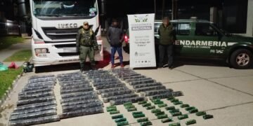 Gendarmería detuvo un camión que transportaba 155 kilos de hojas de coca