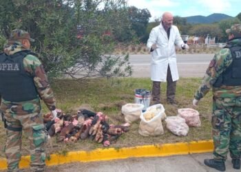 Secuestraron 60 kilos de carne transportados en forma irregular en Capital