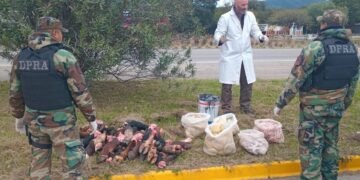 Secuestraron 60 kilos de carne transportados en forma irregular en Capital