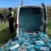Desbaratan en Salta una red internacional de contrabando de cigarrillos