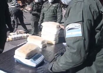 Gendarmería realizó la quema de más de 258 kilos de cocaína en Tucumán