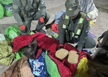 Traficaba 12 kilos de cocaína envueltos entre acolchados y mantas