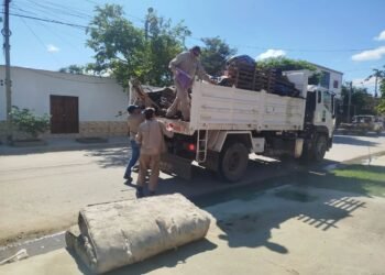 El refuerzo de descacharrado levantó 102 toneladas de cacharros