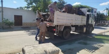 El refuerzo de descacharrado levantó 102 toneladas de cacharros