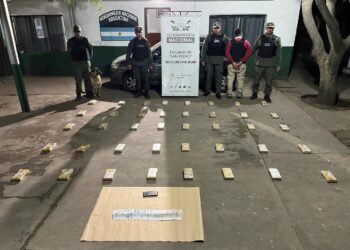 El perrito “Doli” detectó 42 kilos de cocaína en un auto