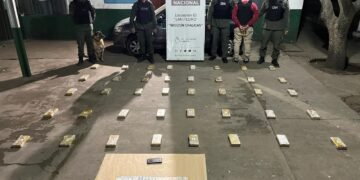 El perrito “Doli” detectó 42 kilos de cocaína en un auto
