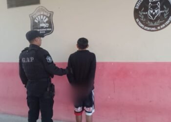 Secuestraron una planta de marihuana en Orán