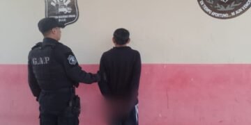 Secuestraron una planta de marihuana en Orán