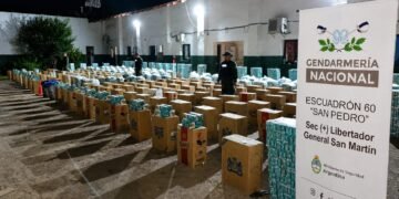 Secuestraron 122.500 paquetes de cigarrillos y 420 kilos de hojas de coca ocultos en encomiendas
