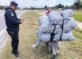Robó naranjas en una finca y fue detenido por la policía