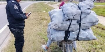 Robó naranjas en una finca y fue detenido por la policía
