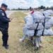 Robó naranjas en una finca y fue detenido por la policía