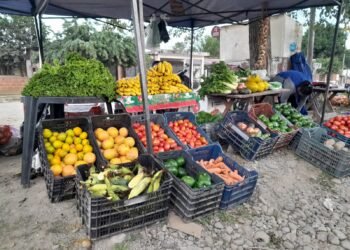 Los Pequeños Productores estarán este martes en la plaza San Martín