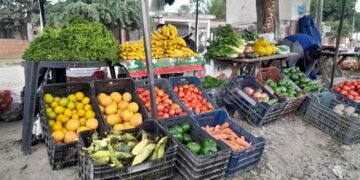 Los Pequeños Productores estarán este martes en la plaza San Martín