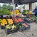 Los Pequeños Productores estarán este martes en la plaza San Martín